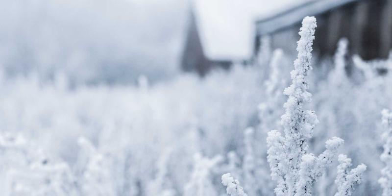 乡村振兴创业新蓝海:解码政策、链接资源、孵化特色产业的实战指南