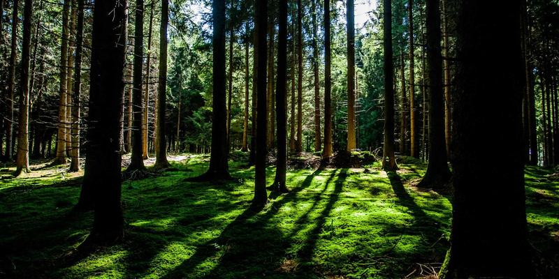 二次创业者如何破局?战略咨询与高端人脉是重塑商业版图的两把密钥