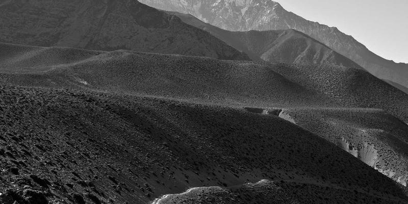 从单打独斗到共生共荣:构建高效创业服务生态系统的三大支柱