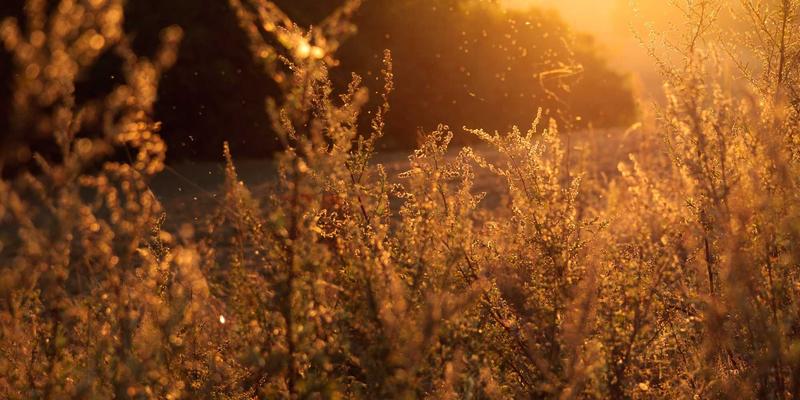 创业公司如何借力财务合规与税务筹划实现稳健增长？资源对接与专业指导是关键