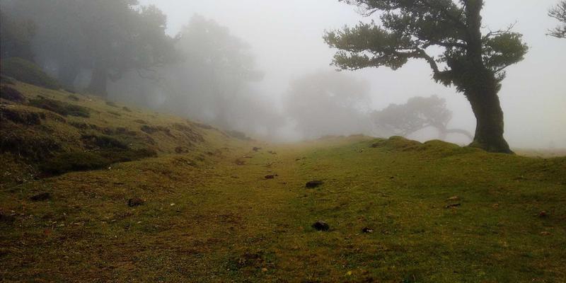 创业公司如何选择云服务与IT架构？一份平衡成本、安全与扩展性的实战指南