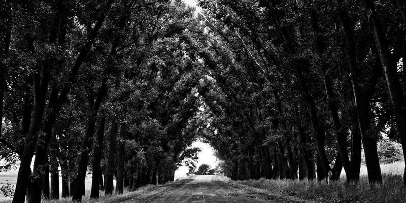 超越利润：社会企业创业如何获取关键支持服务与资源对接